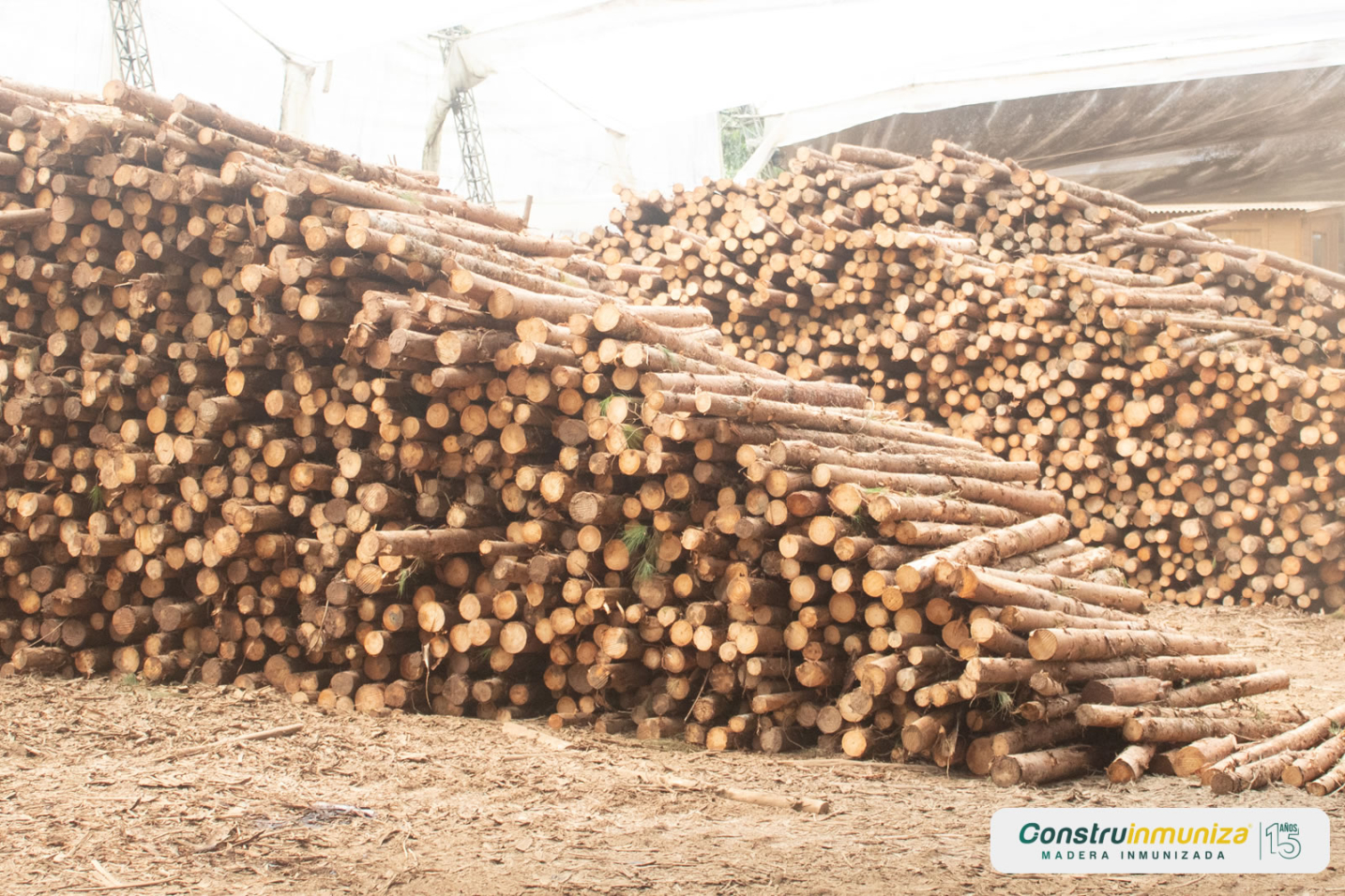 Madera Inmunizada Urabá. construinmuniza.com